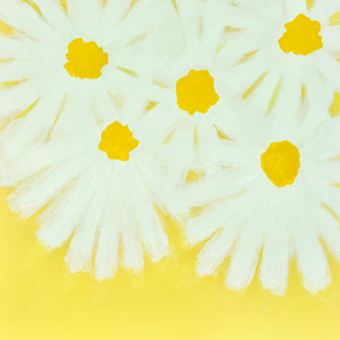 Daisy Days 2