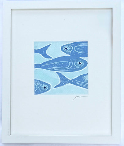Piexe Azul