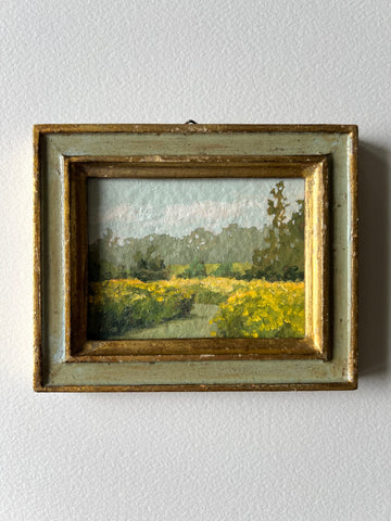 Spring in Yellow