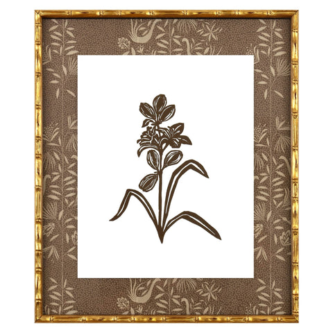 Botanical 27B