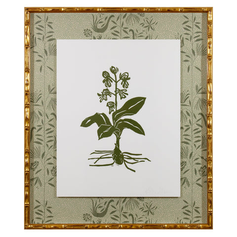 Botanical 39