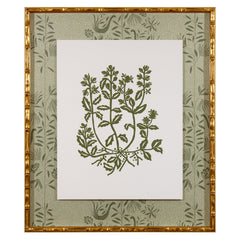 Botanical 46