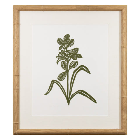 Botanical 61