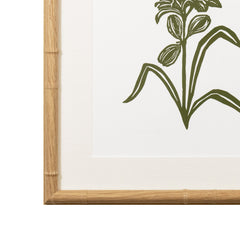 Botanical 61