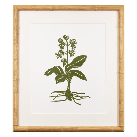 Botanical 62