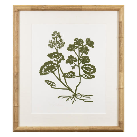 Botanical 65