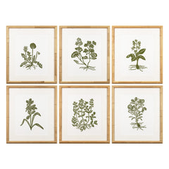 Botanical 65