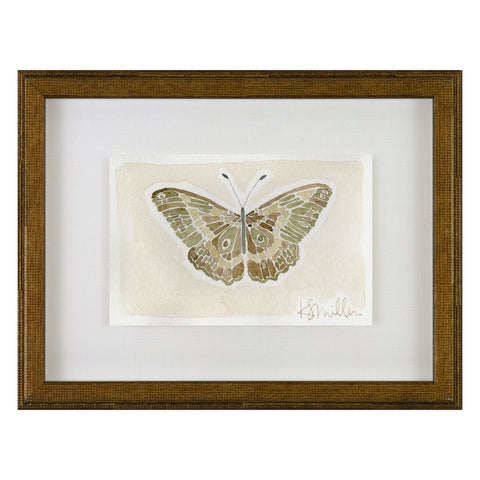 Butterflies 013