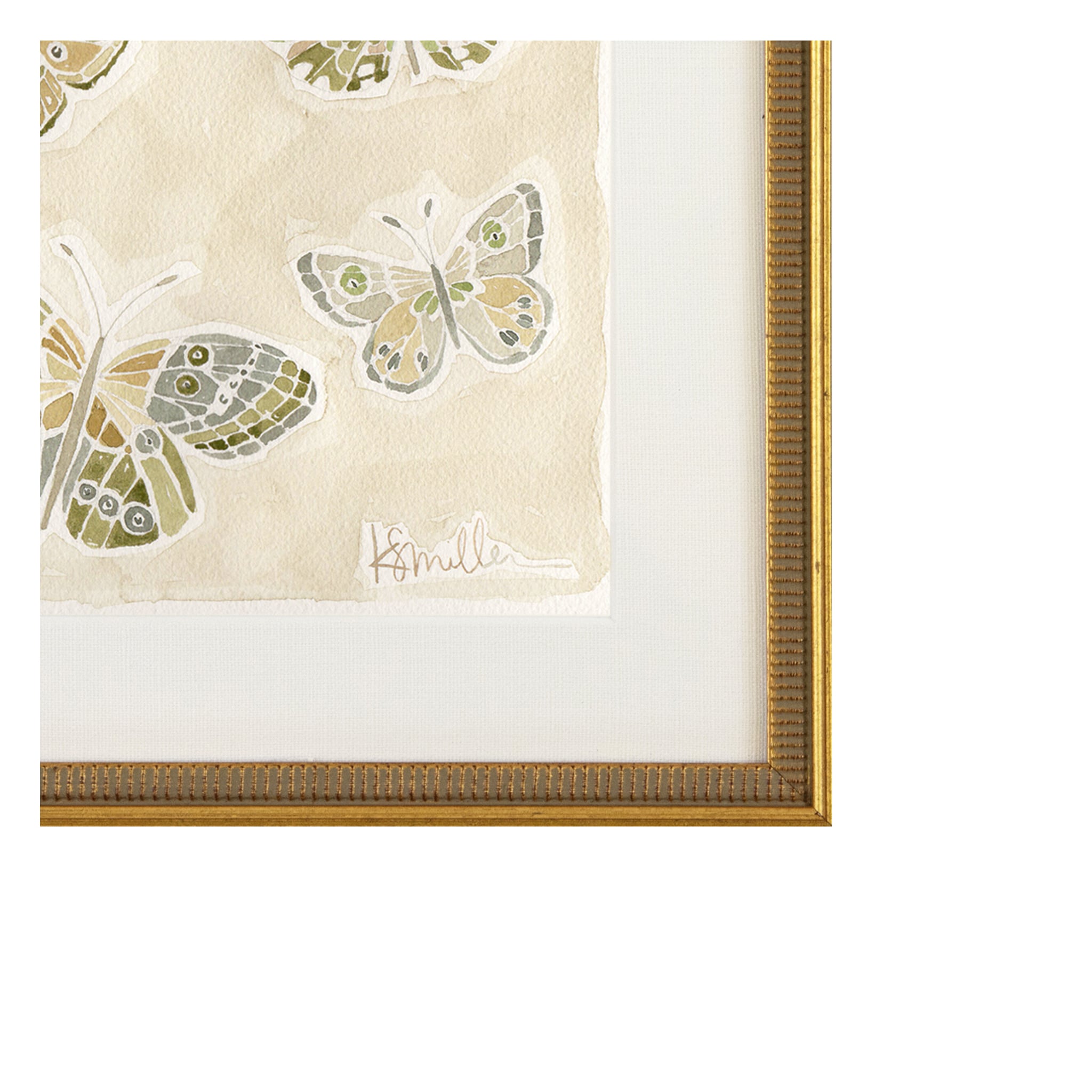 Butterflies 016