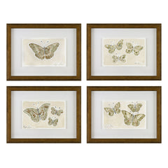 Butterflies 03