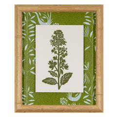 White Meadowsweet Linocut Green