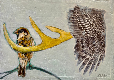 Bird Wings