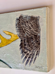 Bird Wings