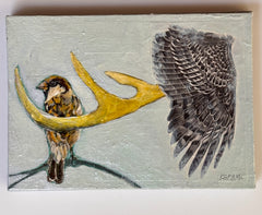 Bird Wings