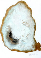 Oyster