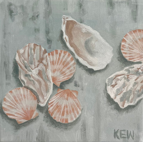 Saint Seashell