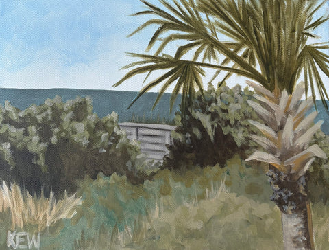 Sullivan's Palm