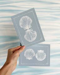 Shell Twins I