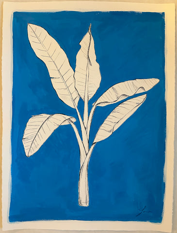 Blue Fronds