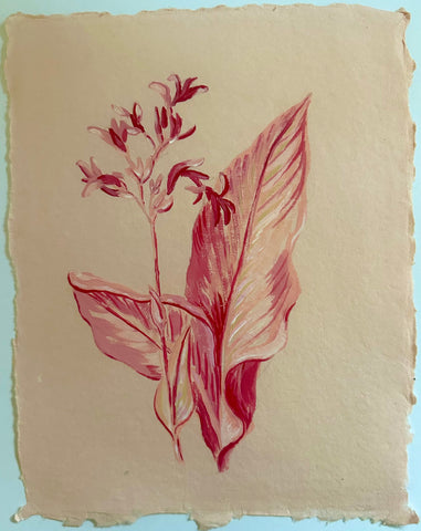 Cana Lily