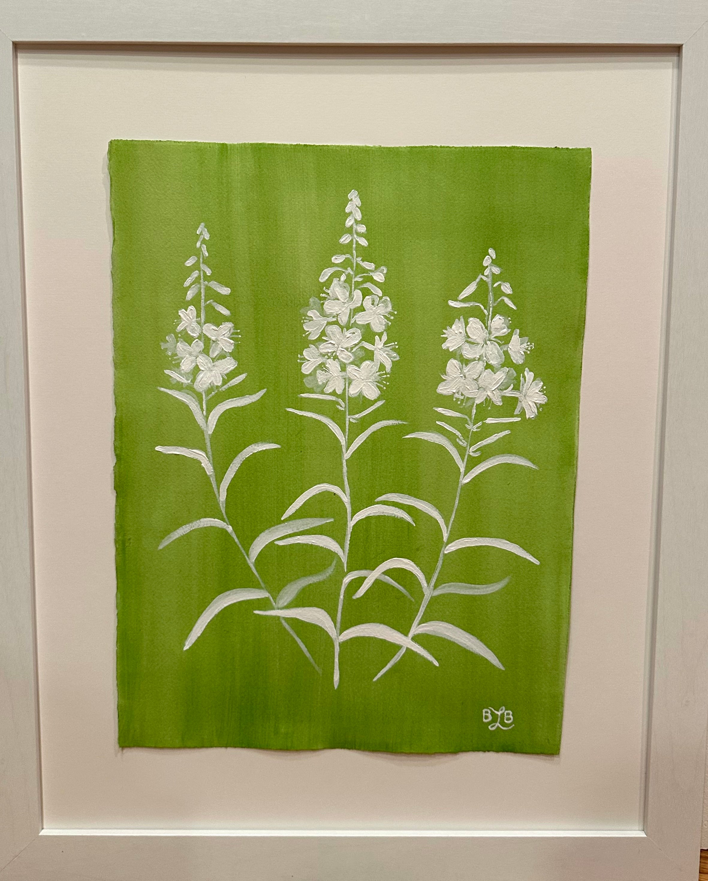 Fireweed Fandango