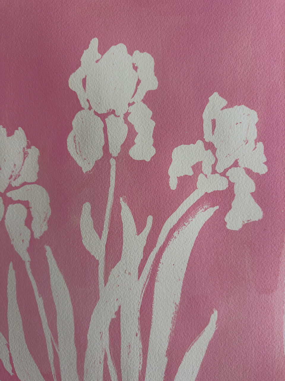 Happy Iris