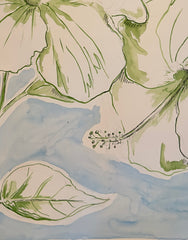 Hibiscus Haven