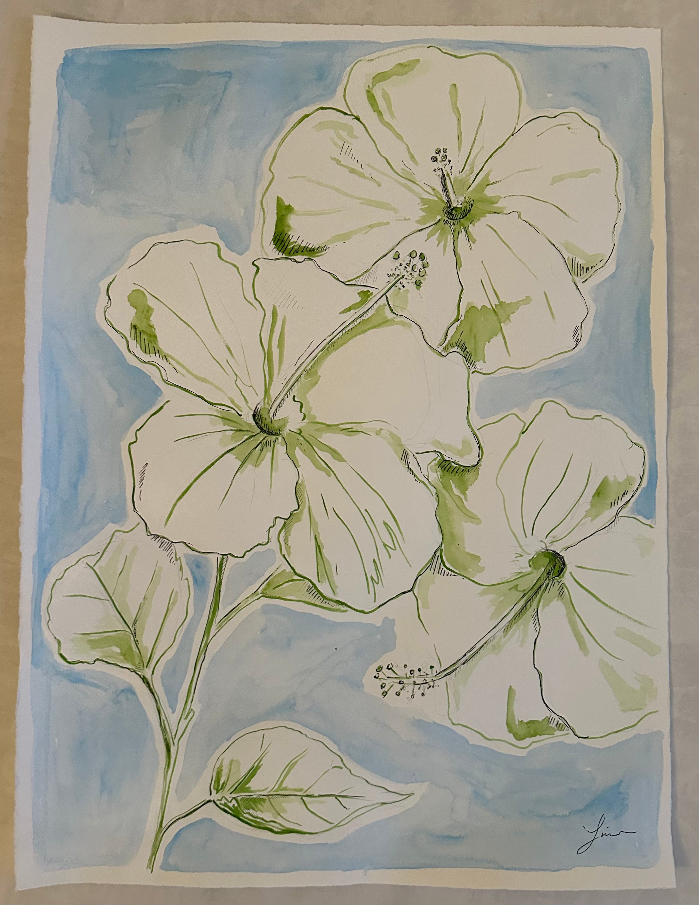 Hibiscus Haven
