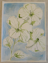 Hibiscus Haven