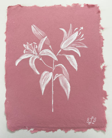 Ornamental Lily