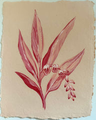 Pink Porcelain Lily