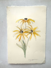 Mama's Black-Eyed Susans II