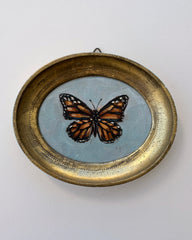 Monarch on Blue
