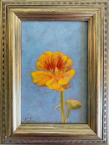 Nasturtium Study