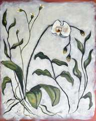 Orchid Botanical