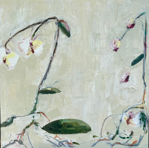 Orchid