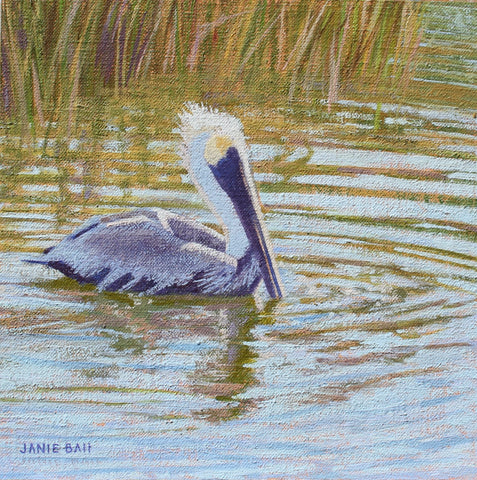 Pelican Paddle