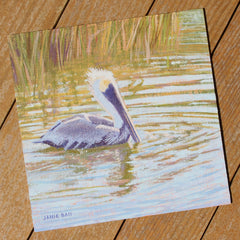 Pelican Paddle