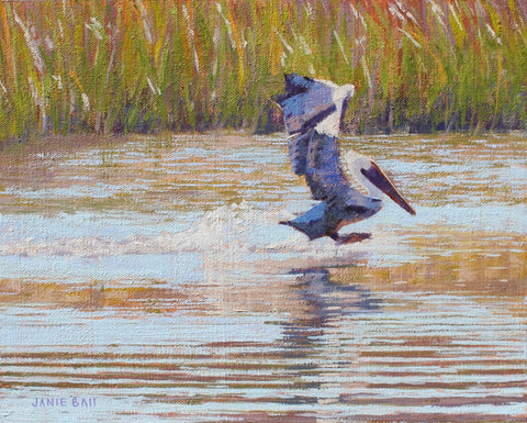 Pelican Touchdown