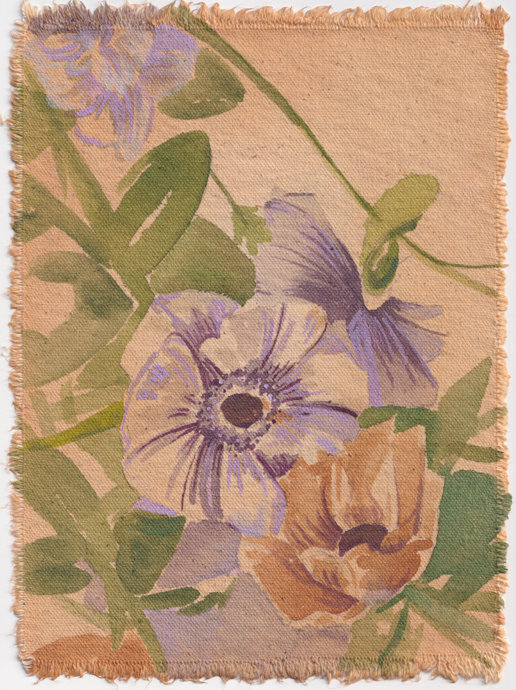 Ranunculus and Sweet Pea