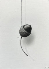 Acorn