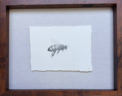Bee 4