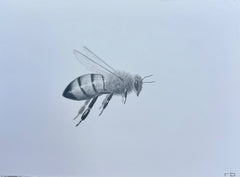 Bee 4