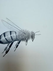 Bee 4
