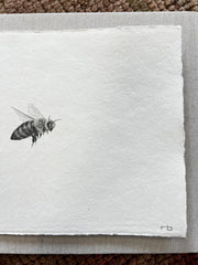 Bee IV