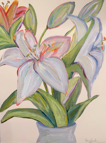 Harvest Lily II