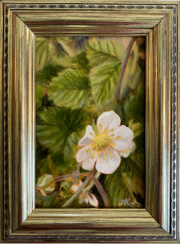 Strawberry Study I