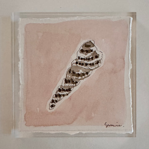 Original Seashell 10