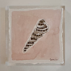 Original Seashell 10