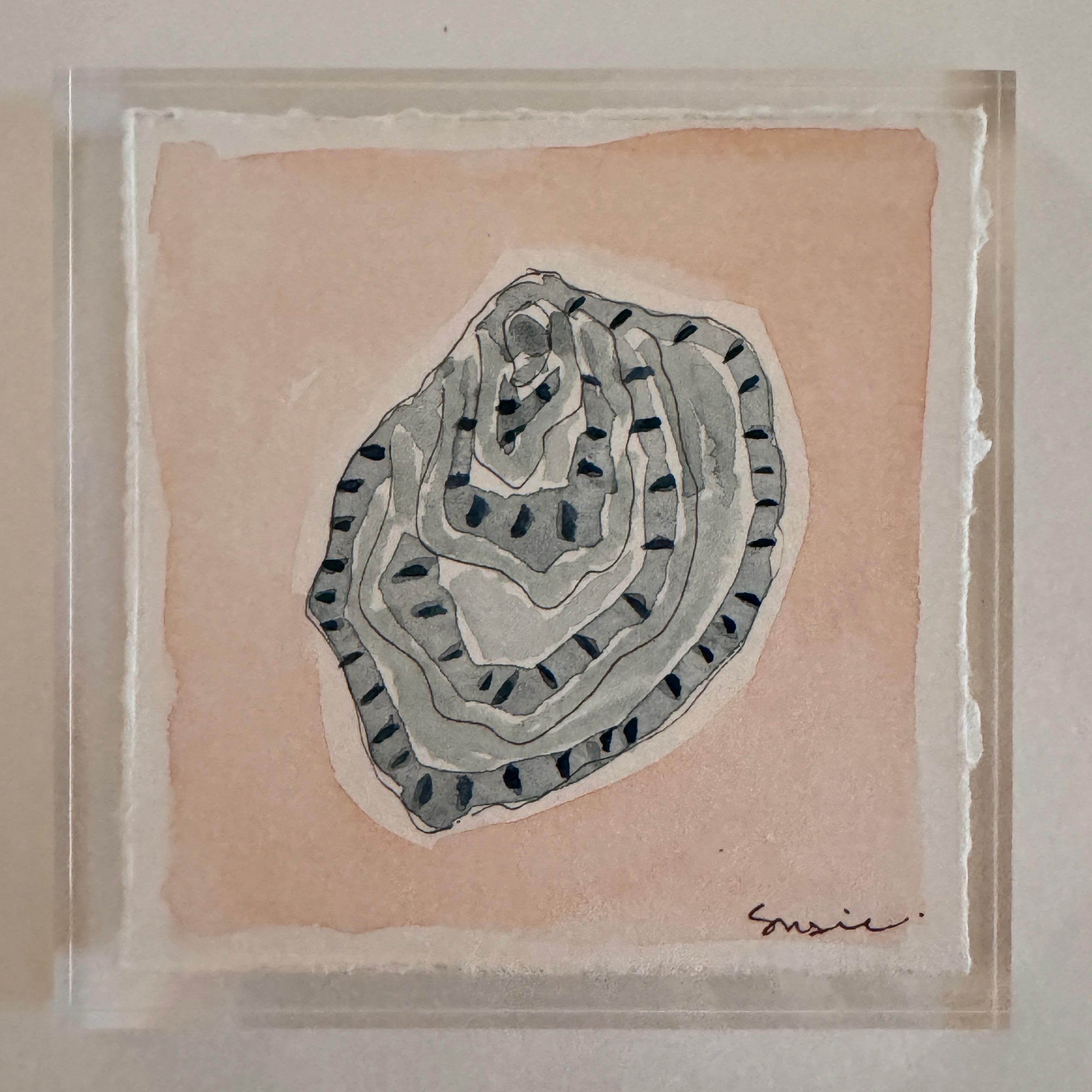 Original Seashell 28